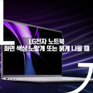 LG전자 노트북 LCD 화면 노랗게 또는 붉게 나오는 현상에 대하여